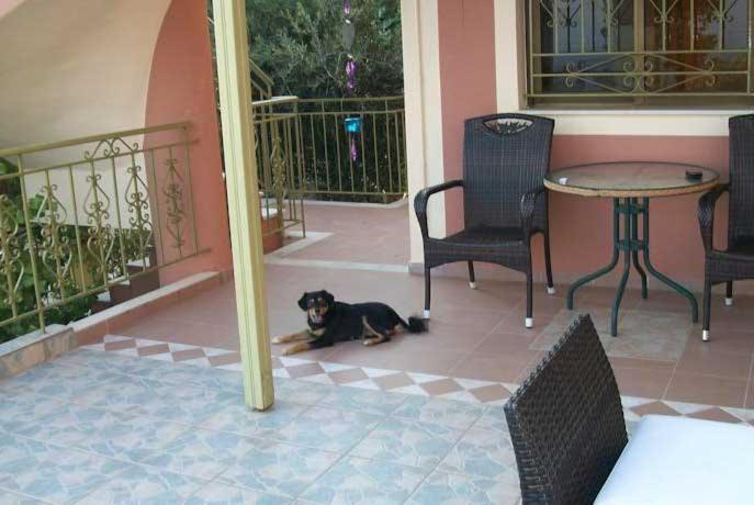 Apartament Ramona Lourdata  Zewnętrze zdjęcie