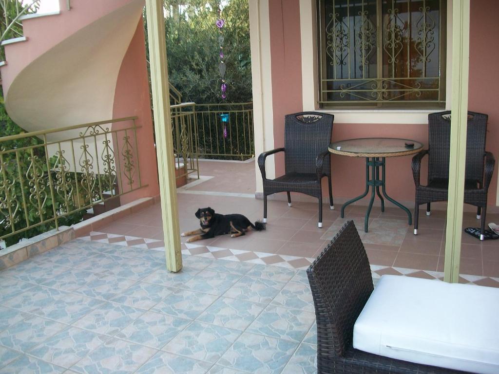Apartament Ramona Lourdata  Zewnętrze zdjęcie